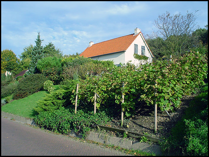 127 Vinkseweg.JPG